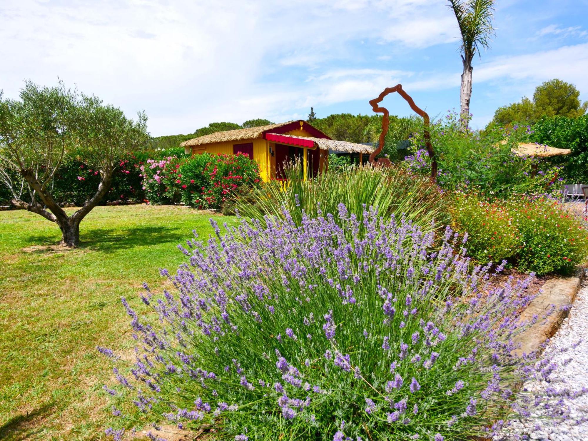 Villa Mas Dels Esquirols à Saint-André Extérieur photo